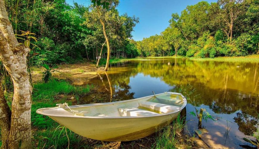 Cho thuê biệt thự, villa, nhà phố, căn hộ homestay khắp cả nước