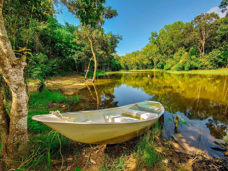 Cho thuê biệt thự, villa, nhà phố, căn hộ homestay khắp cả nước