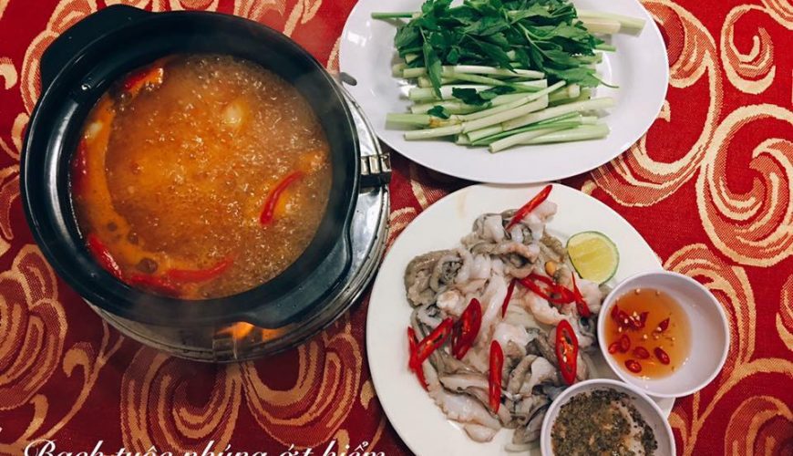 Cho thuê biệt thự, villa, nhà phố, căn hộ homestay khắp cả nước