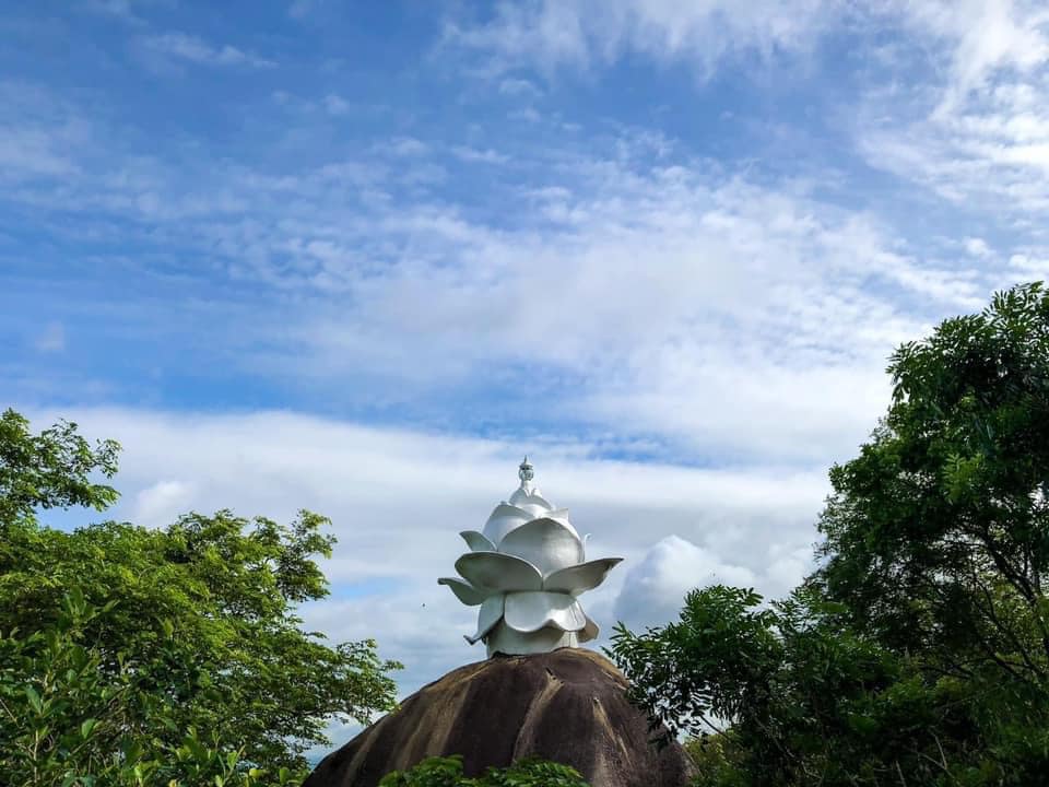 Cho thuê biệt thự, villa, nhà phố, căn hộ homestay khắp cả nước