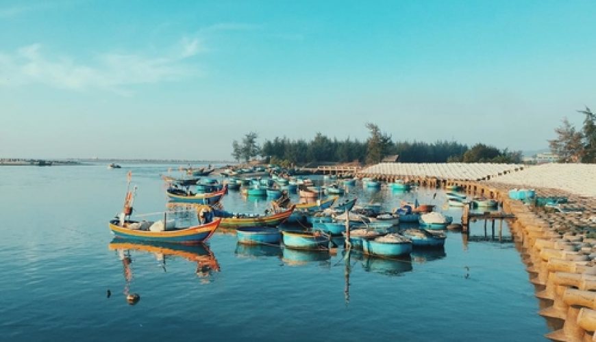 Cho thuê biệt thự, villa, nhà phố, căn hộ homestay khắp cả nước